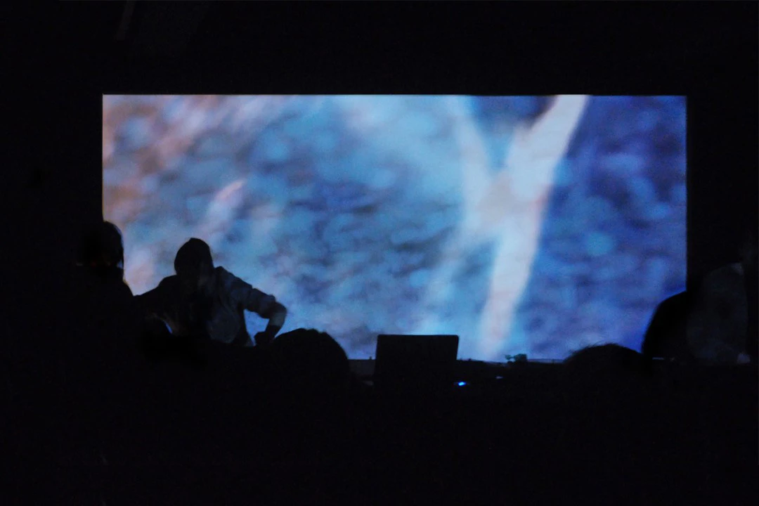 Live Visuals